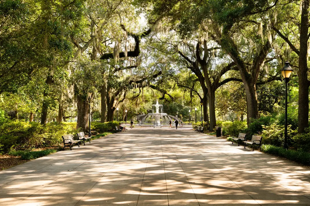 Walkway beneath live oaks and Spanish moss in Forsyth Park, Savannah