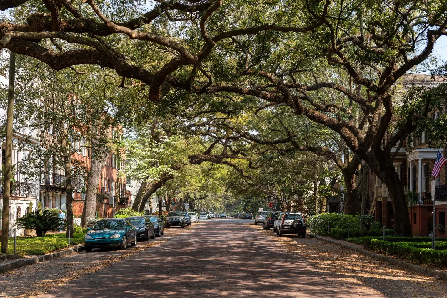 Historic Savannah street beneath live oaks draped in Spanish moss